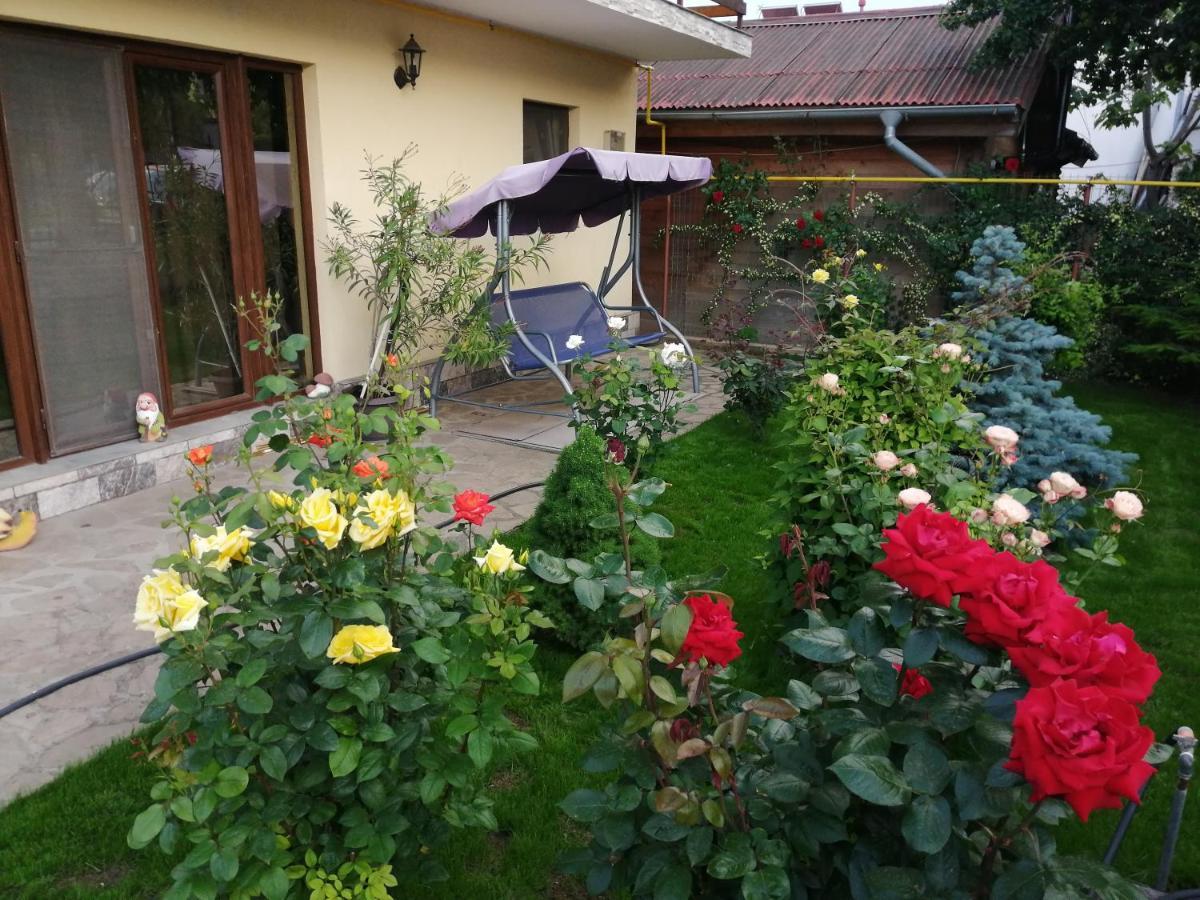 מלון Casa David&Alexia Două Mai מראה חיצוני תמונה